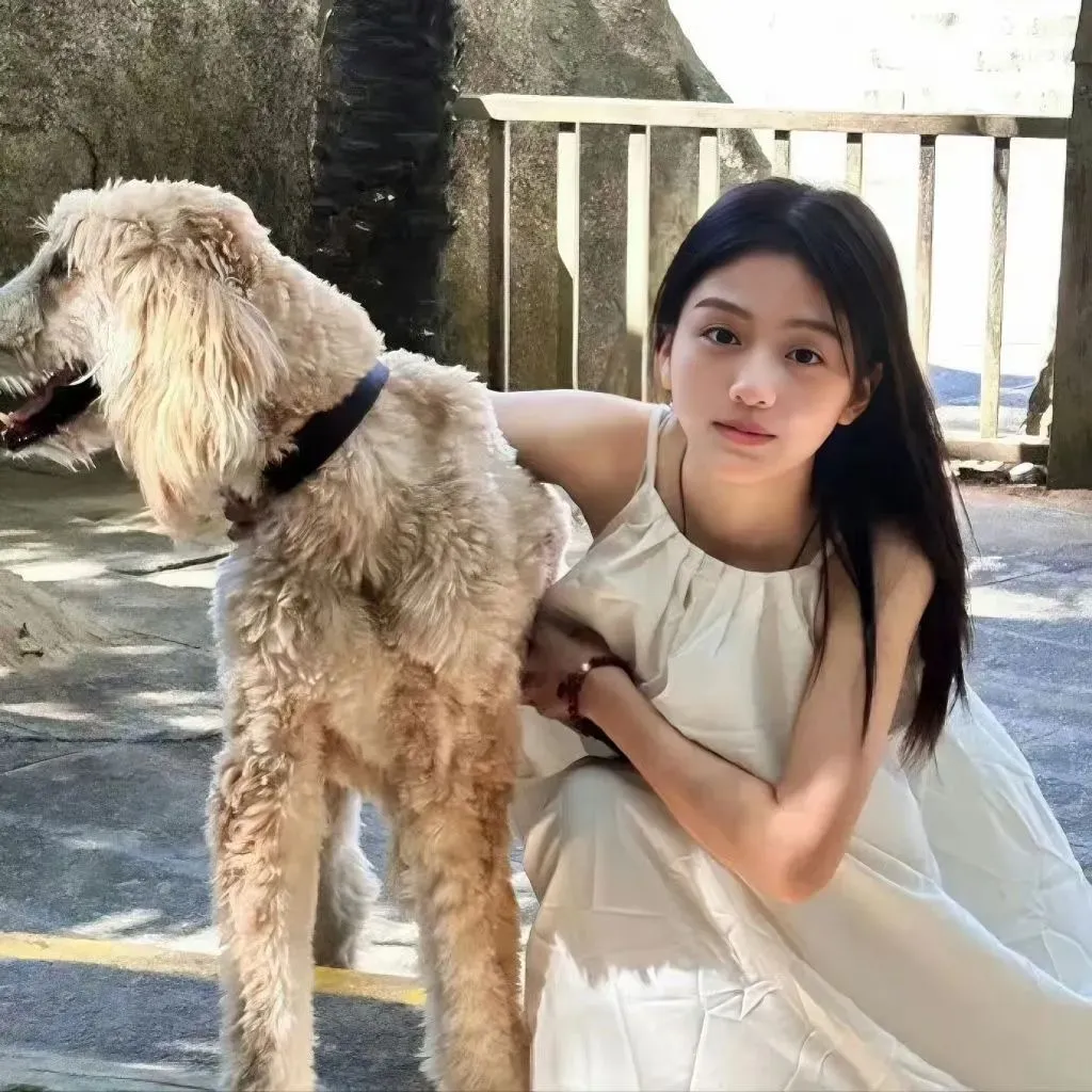 奔跑吧第十二季免费观看